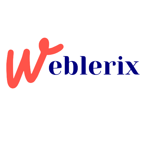 Weblerix professional web design | web Development company